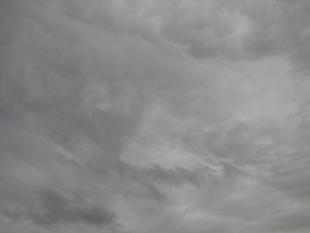 2009/10(October)/Misc/640x480_20100206 569.JPG